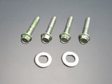 Rear Compensator Arm Bolts and Washers 92-95 Civic EG, 94-01 Integra DC2
