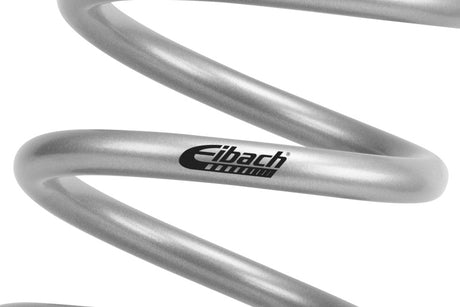 Eibach E85-209-038-01-22 PRO-UTV Stage 1 spring kit product detail