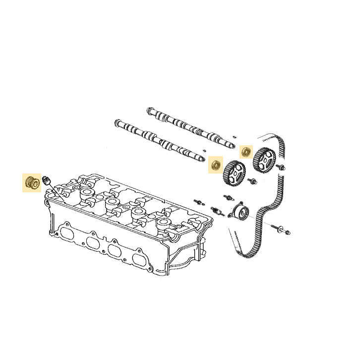 Exploded B-series cylinder-head diagram highlighting cam seal and plug positions