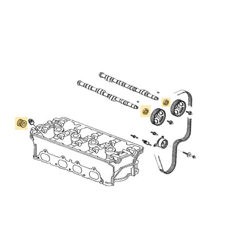 Exploded B-series cylinder-head diagram highlighting cam seal and plug positions