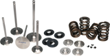 Ferrea 18-24 Ford Coyote 5.0L Dual Valve Spring Kit