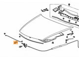 Honda Accord hood diagram showing hood rod holder clip location 91503-TA0-A01