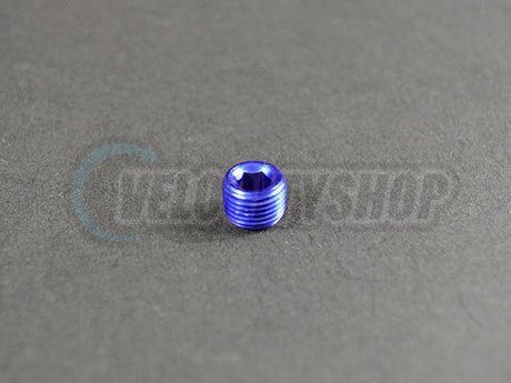 Russell 1/8th NPT Allen Socket Pipe Plug (Blue)