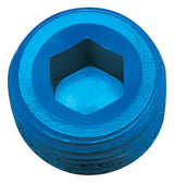 662070 | PLUG, ALLEN PIPE - 3/4"
