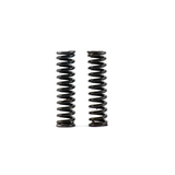 Hybrid Racing Heavy Duty Transmission Detent Springs (16-21 Civic)