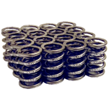 Blox LS Dual Valve Springs Set B18A-B, B20 (1.8L - 2.0L DOHC) Set of 16