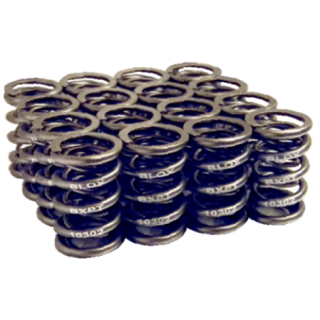 Blox LS Dual Valve Springs Set B18A-B, B20 (1.8L - 2.0L DOHC) Set of 16