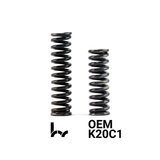 Hybrid Racing Heavy Duty Transmission Detent Springs (16-21 Civic)